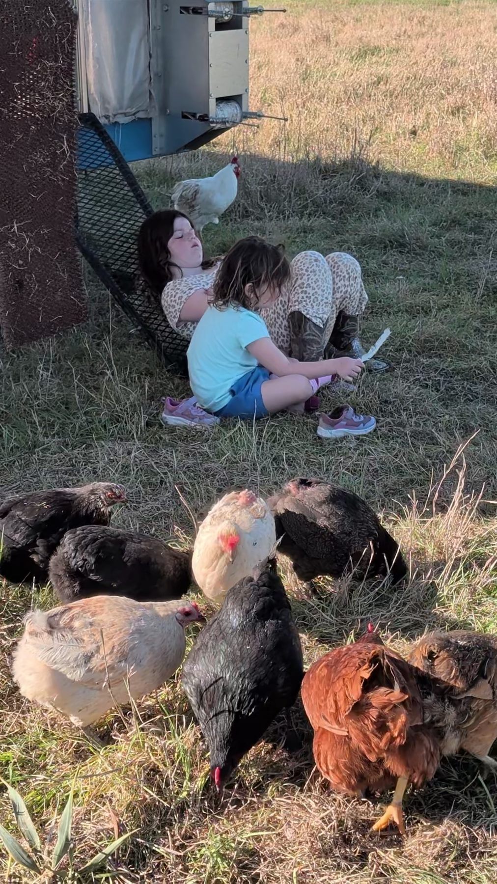 Two daughters sitting in the grass beside the coop, surrounded by hens